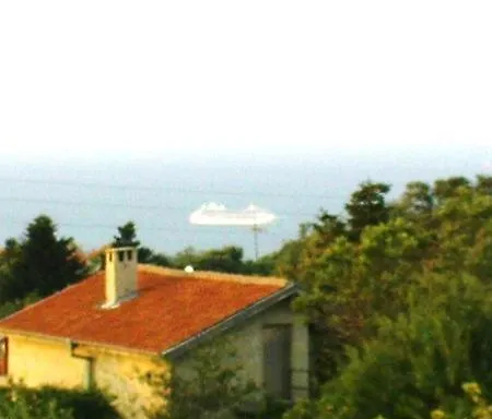 ,,лозница гт