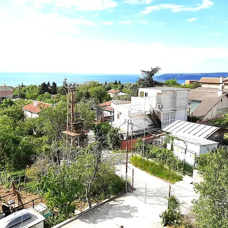 ,,лозница гт