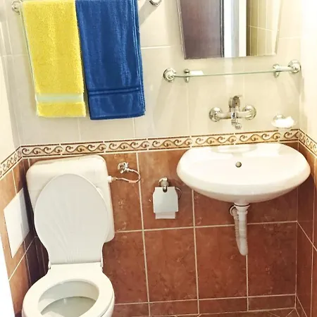 ,,лозница гт