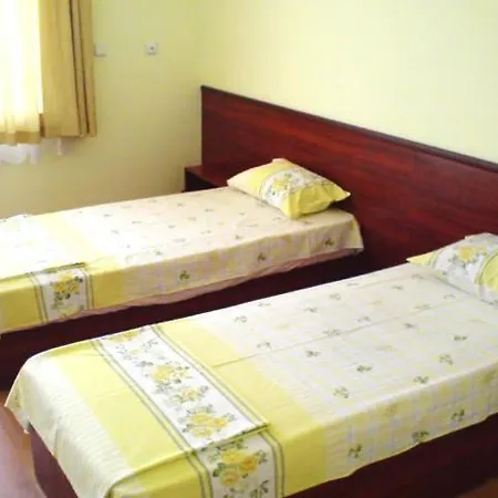 ,,лозница гт